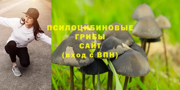 2c-b Куйбышев