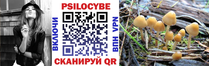 Галлюциногенные грибы GOLDEN TEACHER  цены   Вышний Волочёк 